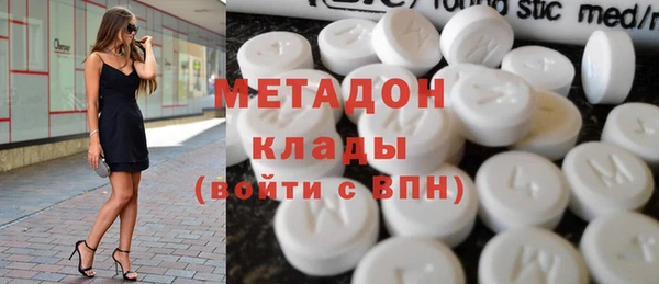 прущие грибы Абаза
