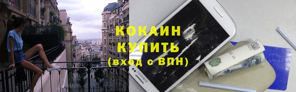 прущие грибы Абаза