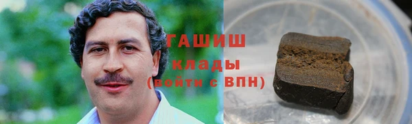 прущие грибы Абаза