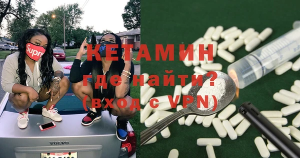 прущие грибы Абаза