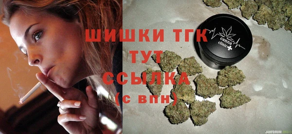прущие грибы Абаза
