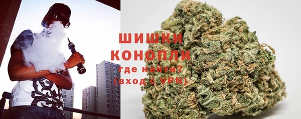 прущие грибы Абаза