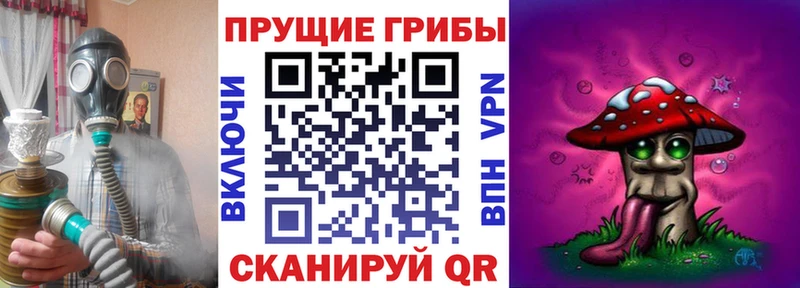 что такое Заволжье Псилоцибиновые грибы Magic Shrooms