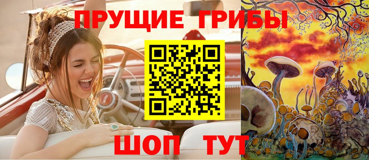 Галлюциногенные грибы Psilocybine cubensis Заволжье