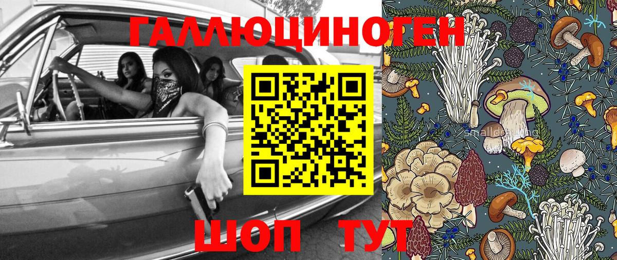 Галлюциногенные грибы Psilocybine cubensis  Вход с VPN  Заволжье 