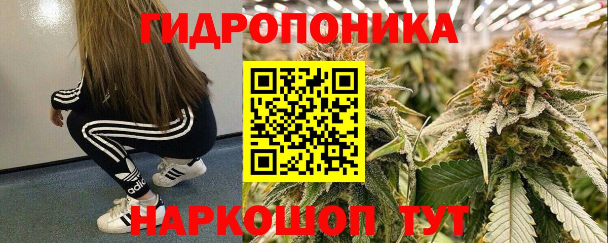 Бошки марихуана VHQ Заволжье
